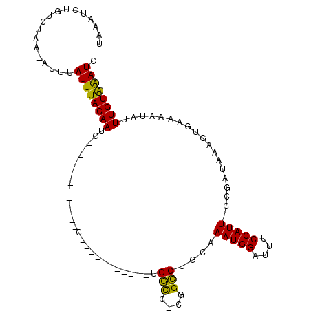 secondary structure