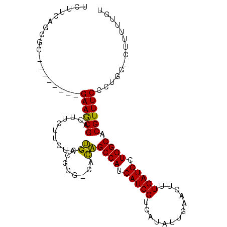 secondary structure