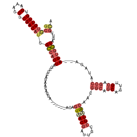secondary structure