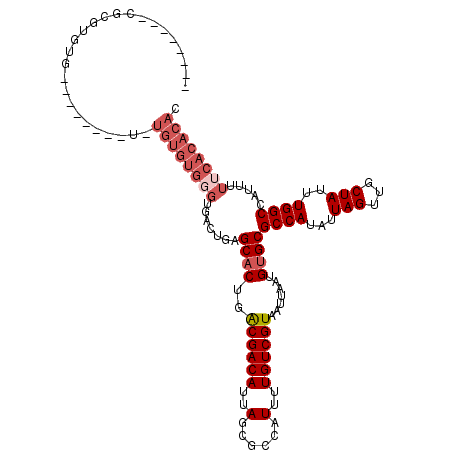 secondary structure
