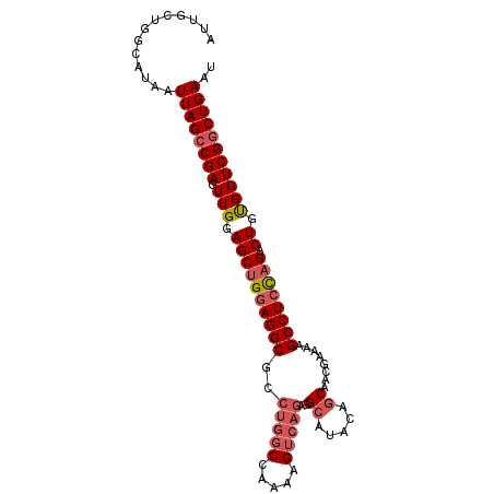 secondary structure