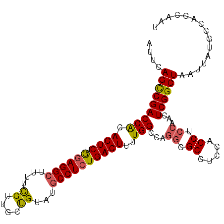 secondary structure