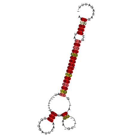secondary structure