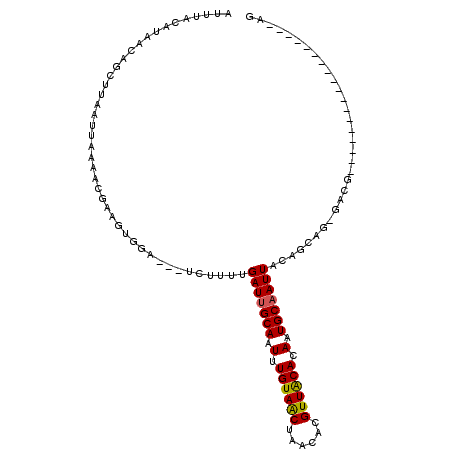 secondary structure
