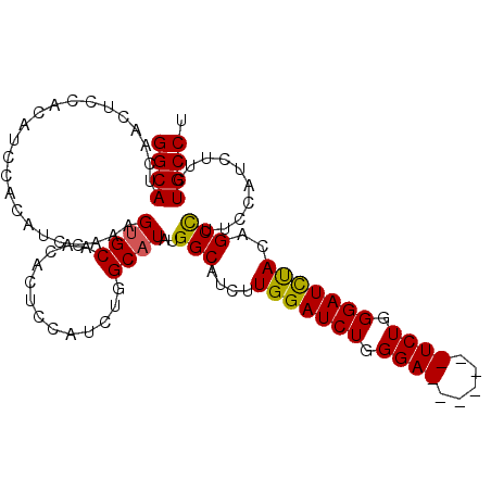 secondary structure