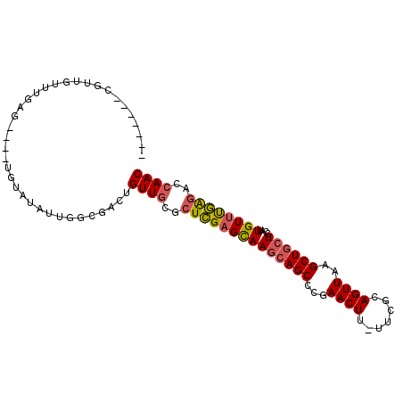 secondary structure