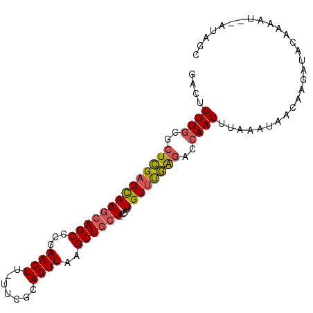 secondary structure