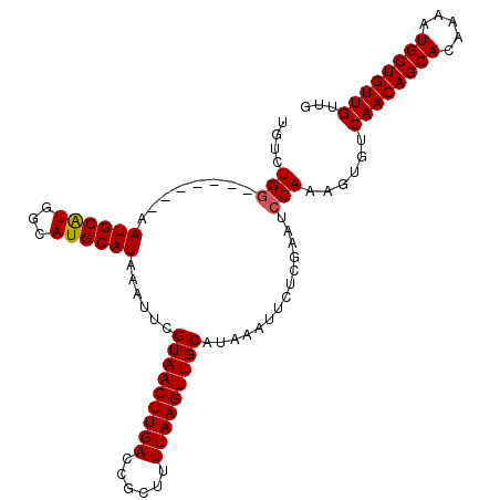secondary structure