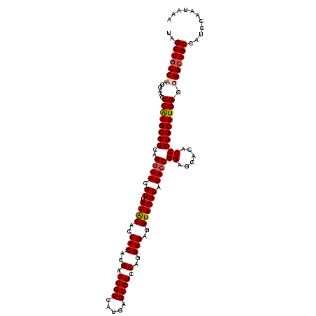 secondary structure