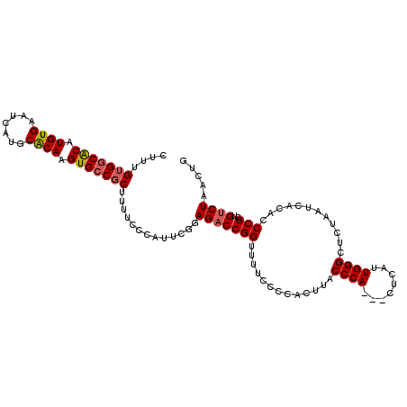 secondary structure