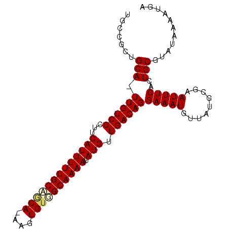 secondary structure