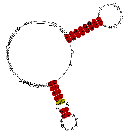 secondary structure