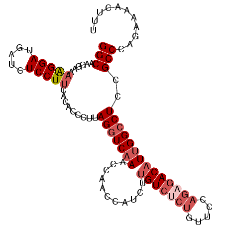 secondary structure