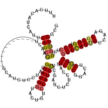 secondary structure