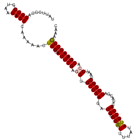 secondary structure