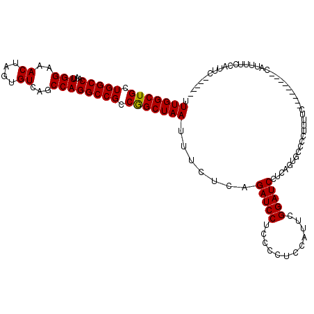 secondary structure