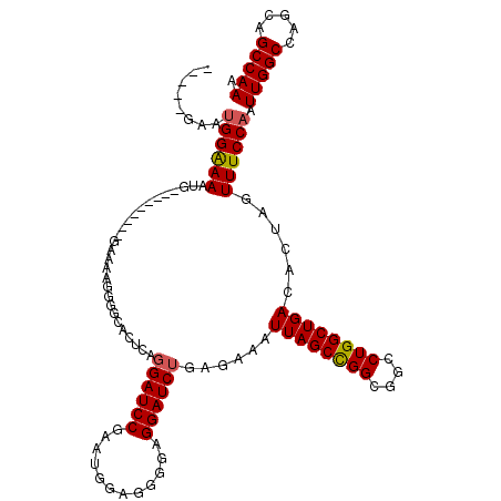 secondary structure