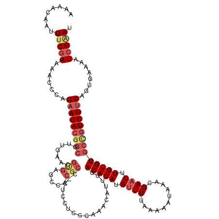 secondary structure