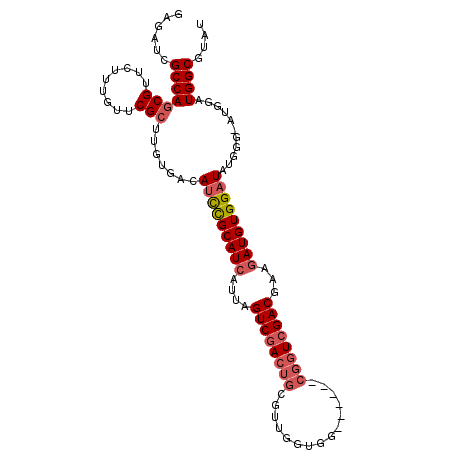secondary structure