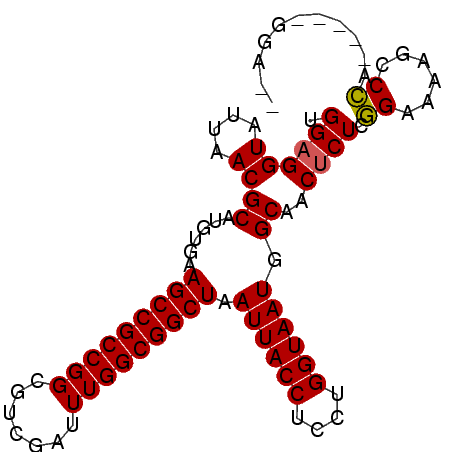 secondary structure