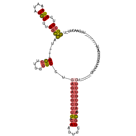 secondary structure