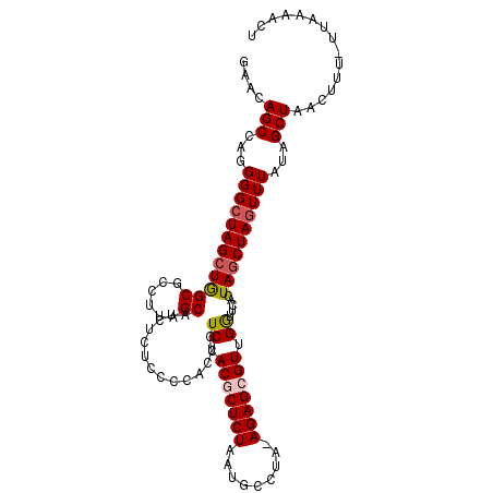 secondary structure