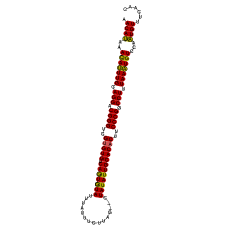 secondary structure