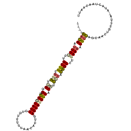 secondary structure