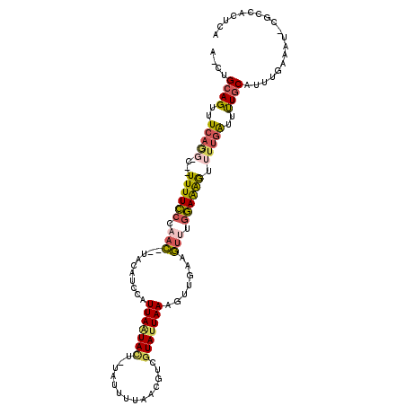 secondary structure