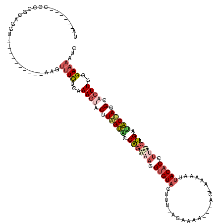 secondary structure