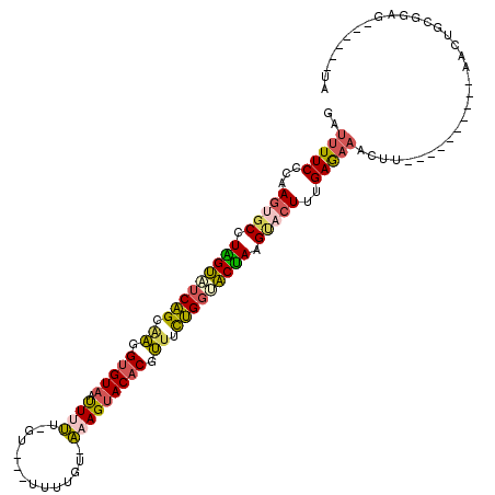 secondary structure