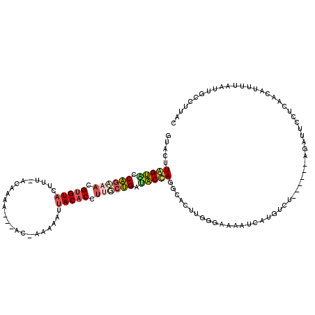 secondary structure