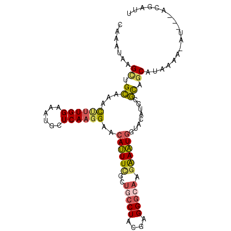 secondary structure