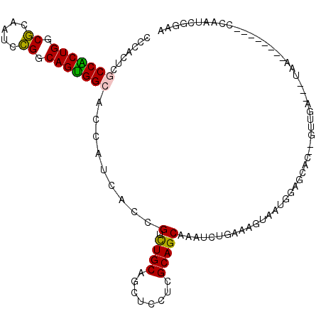 secondary structure