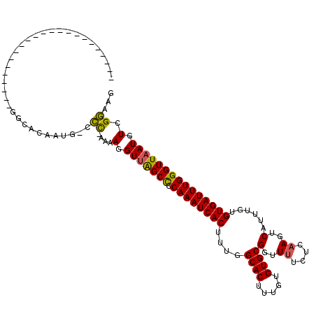 secondary structure