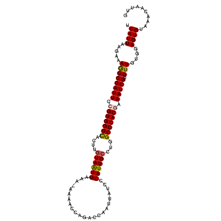 secondary structure