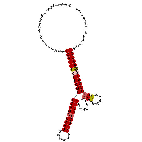 secondary structure