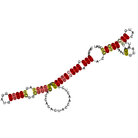 secondary structure