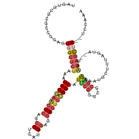 secondary structure