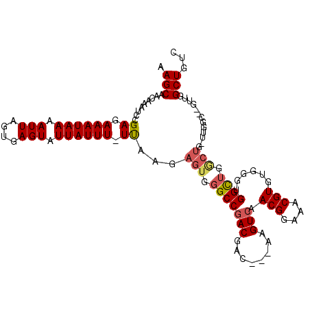 secondary structure