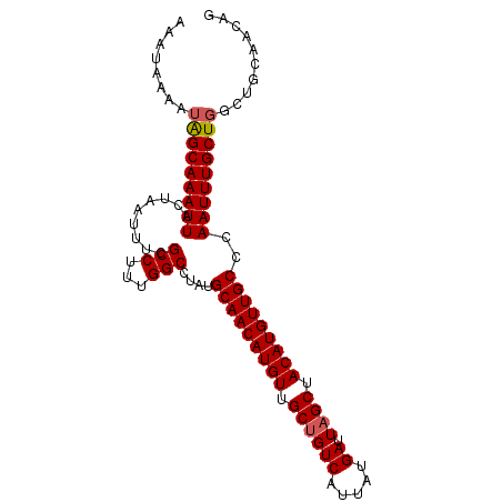 secondary structure