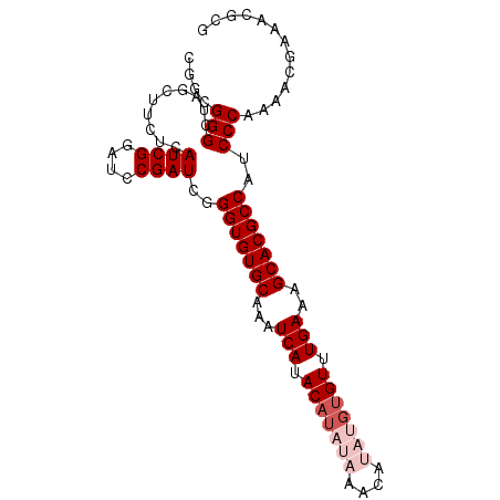 secondary structure