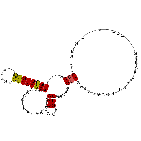 secondary structure