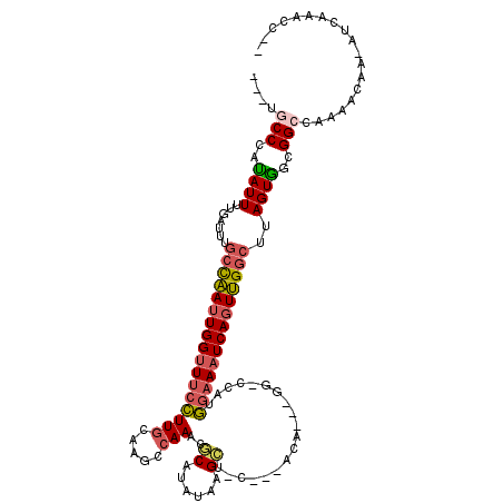 secondary structure
