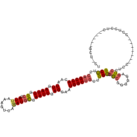 secondary structure