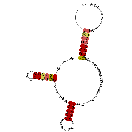 secondary structure