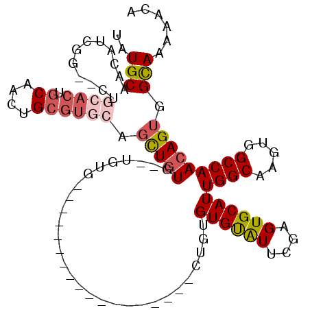 secondary structure