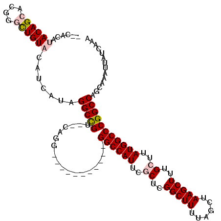 secondary structure