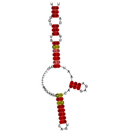 secondary structure