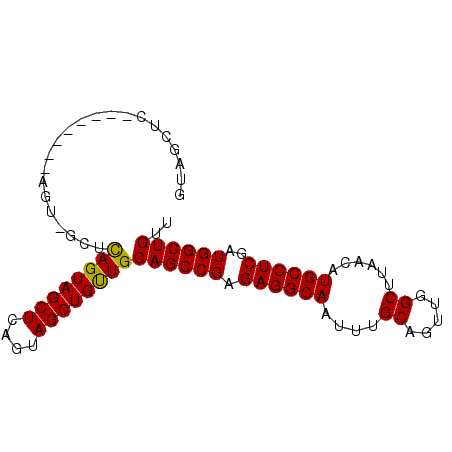 secondary structure